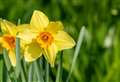 Met Office reveals early predictions for Easter weather