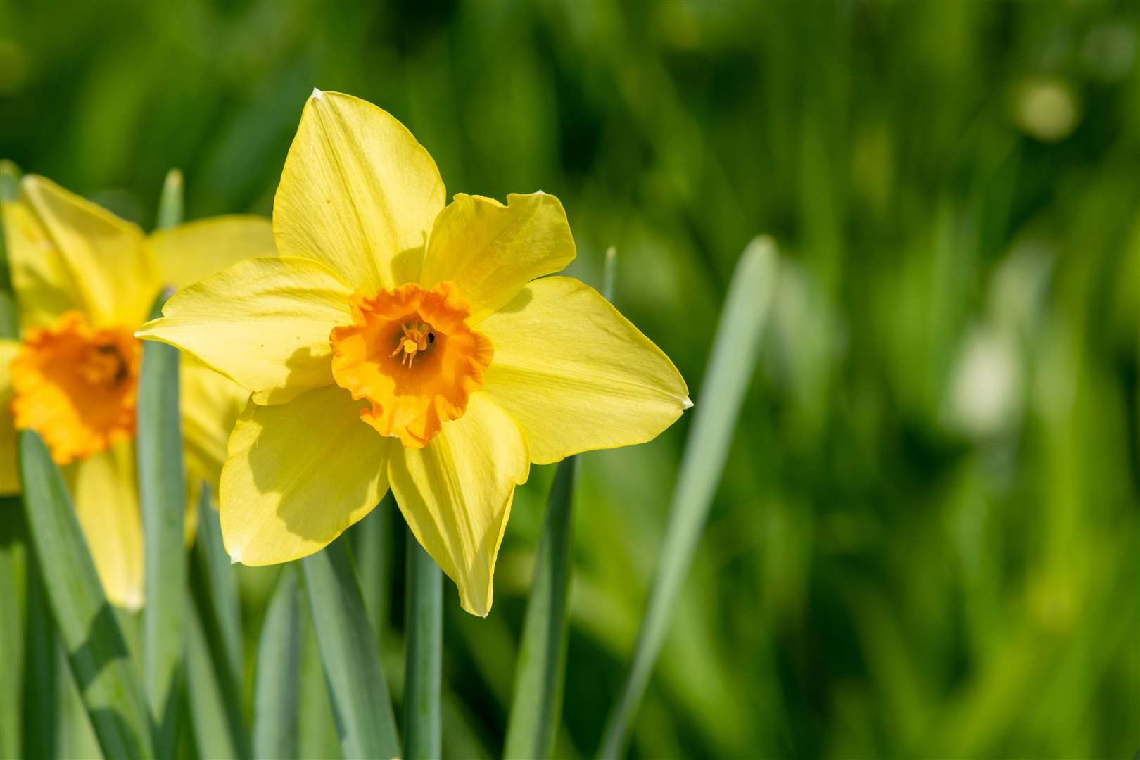 With a four-day bank holiday weekend on the horizon there is much interest in the Easter forecast. Image: iStock.